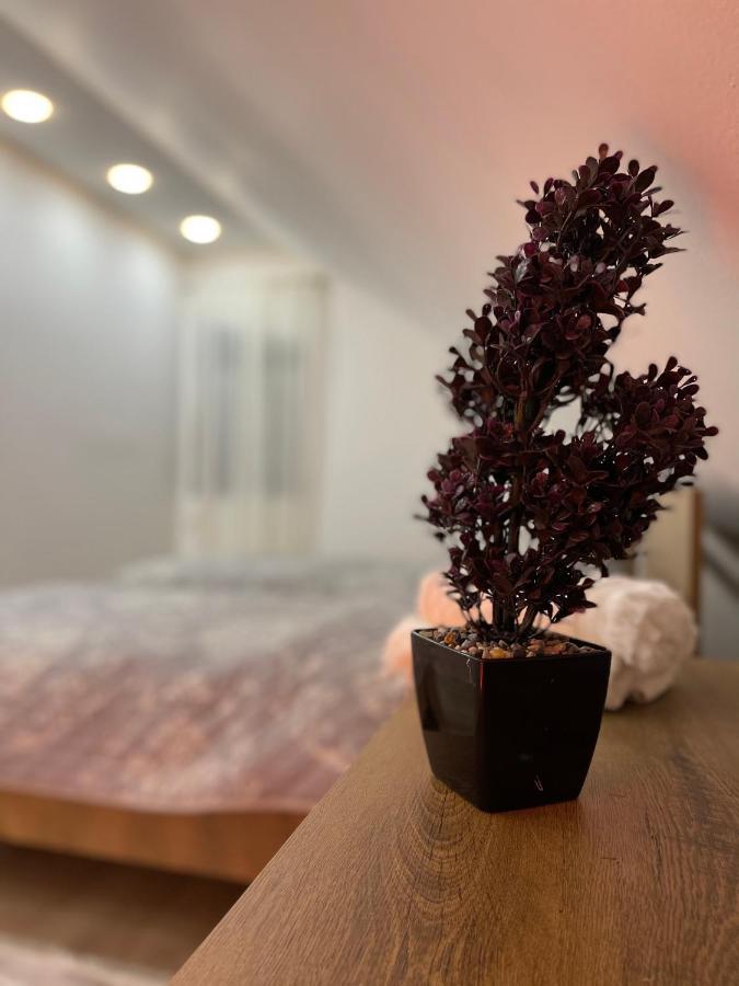 Luna Apartment Novi Pazar Bagian luar foto