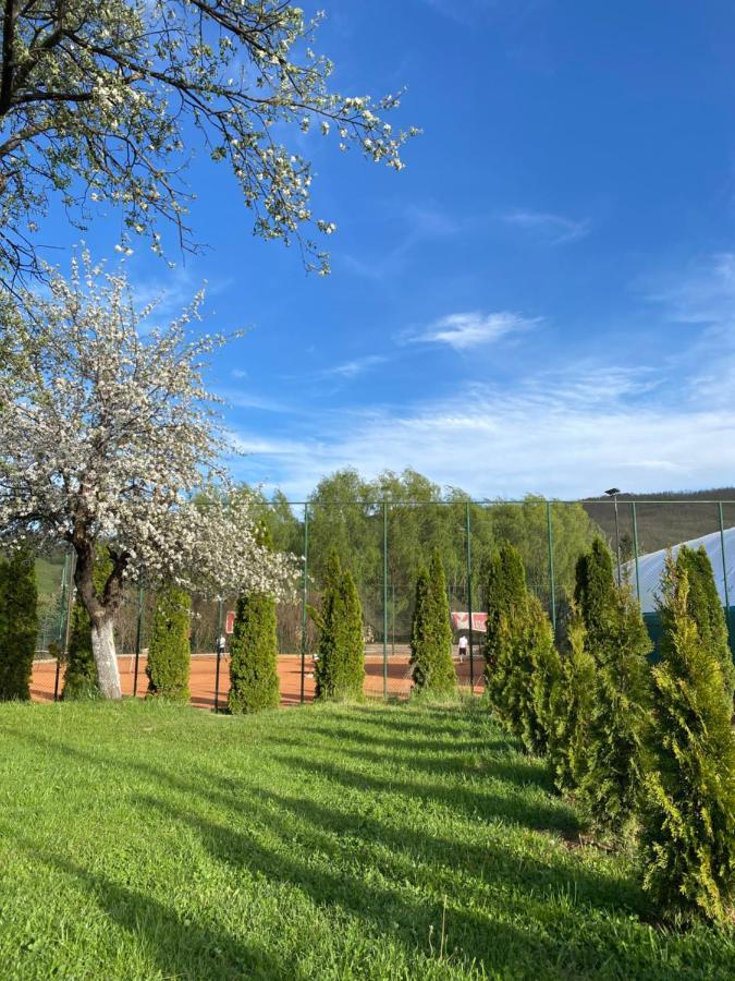 Luna Apartment Novi Pazar Bagian luar foto